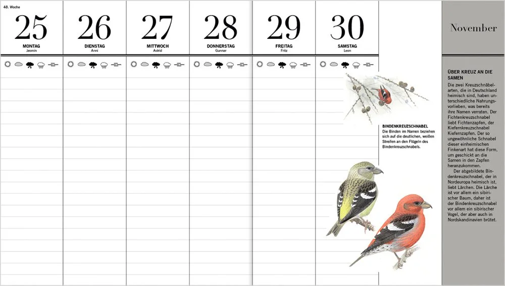 Vogelkalender November