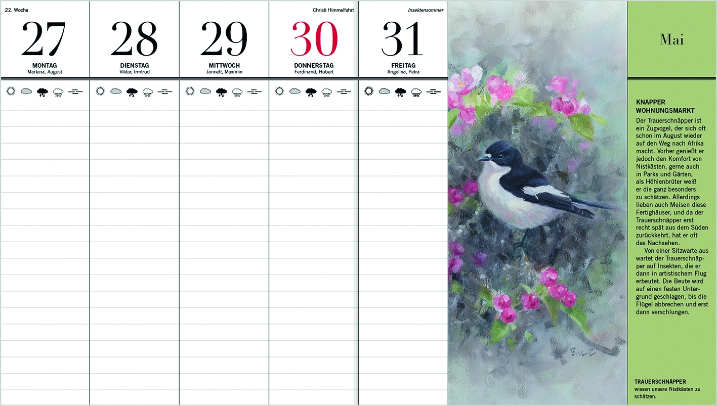 Vogelkalender mai