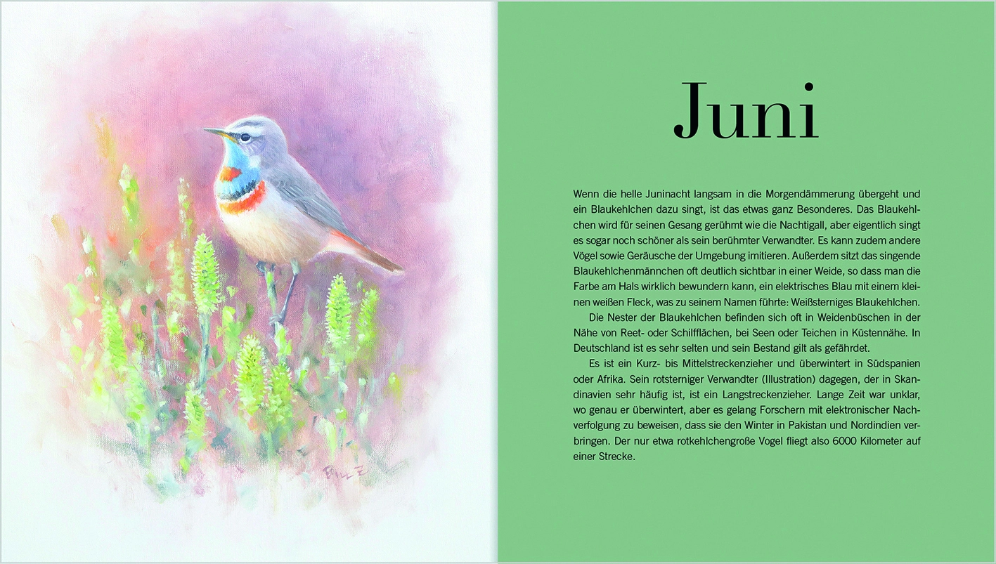 Vogelkalender Juni